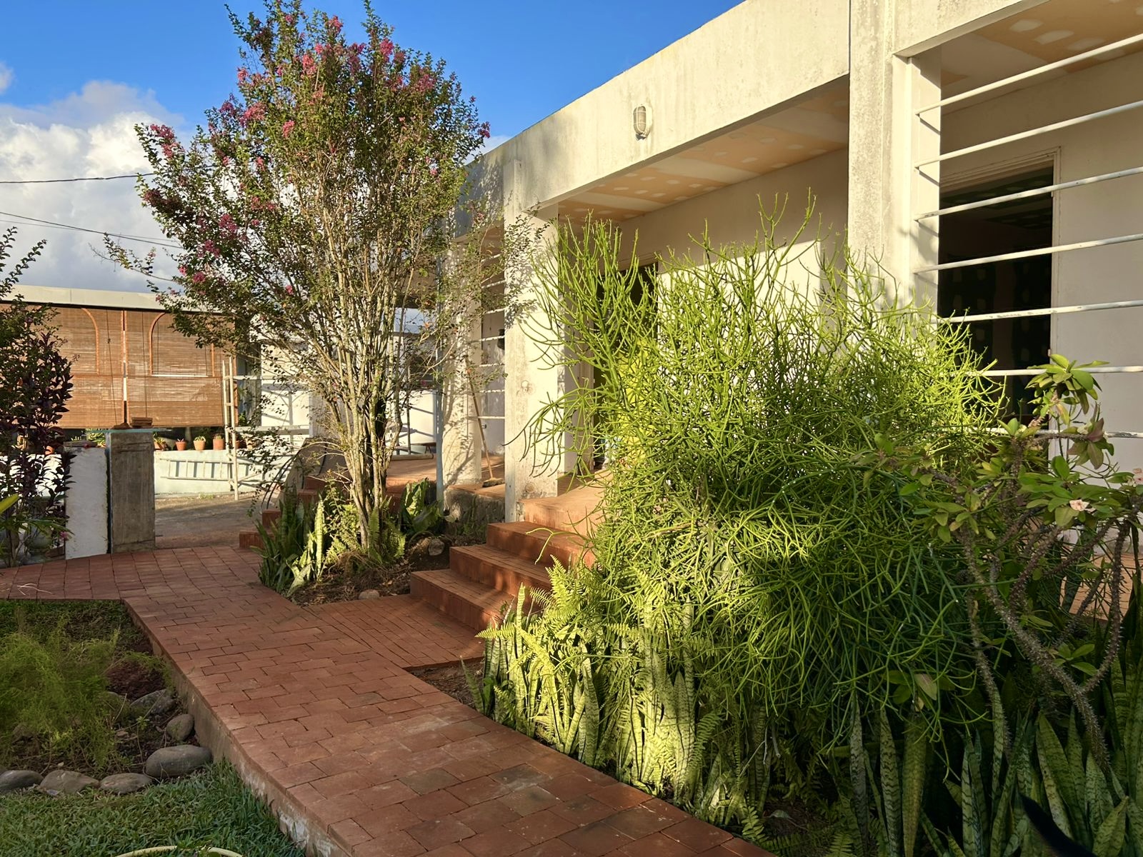 137eaef6-93b5-4c6c-9709-df17a0a4682e