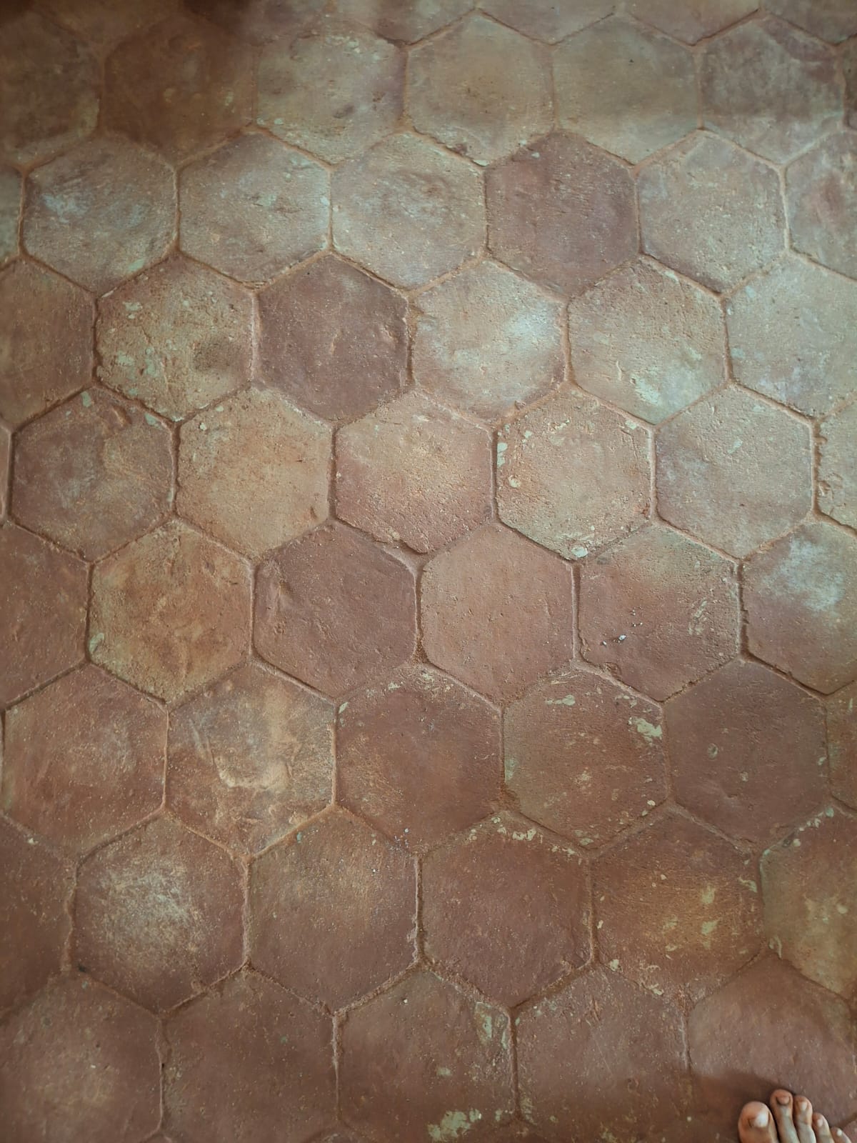 1c31f5be-f63d-456d-8a96-ca9aaf46b1c9