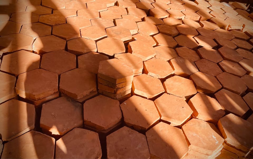 613564226_1425850102490250_7664456139791854501_n