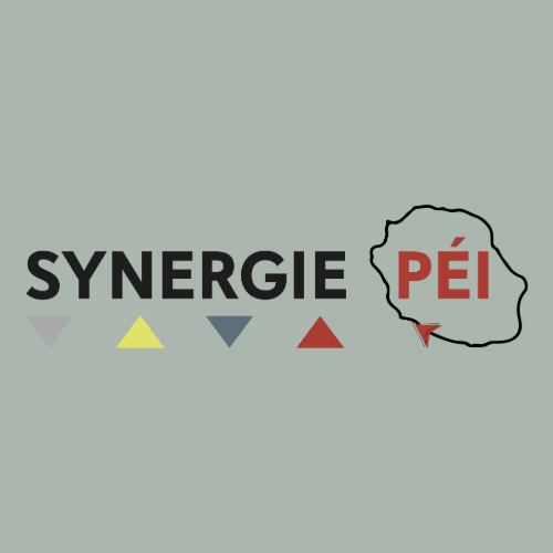 Synergie PEI (La Réunion)