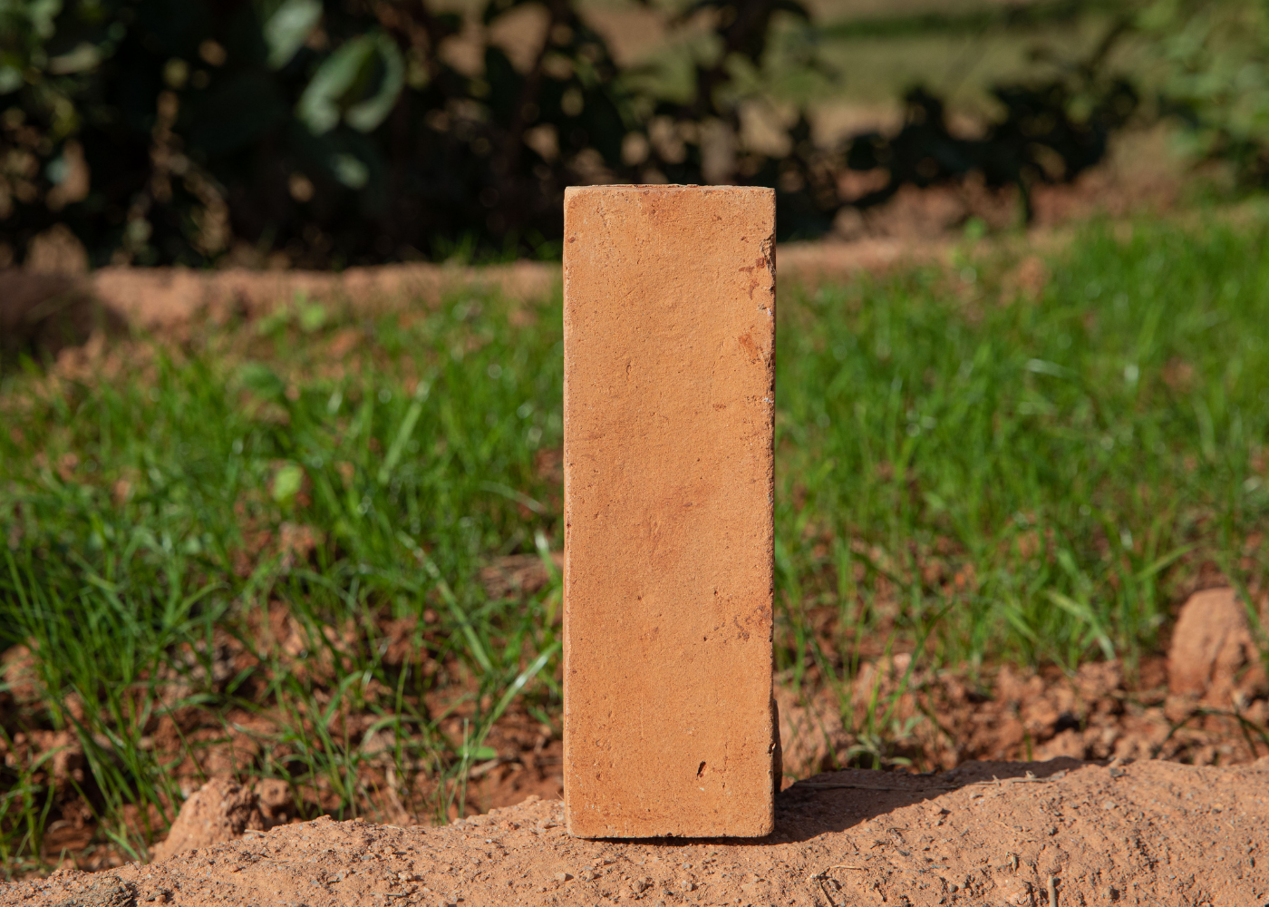 Tomettes rectangulaires 22*7*3